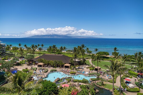 Un resort con una amplia zona de piscina, palmeras y vista al océano.