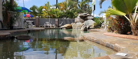 Piscine extérieure, chaises longues