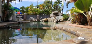 Outdoor pool, sun loungers