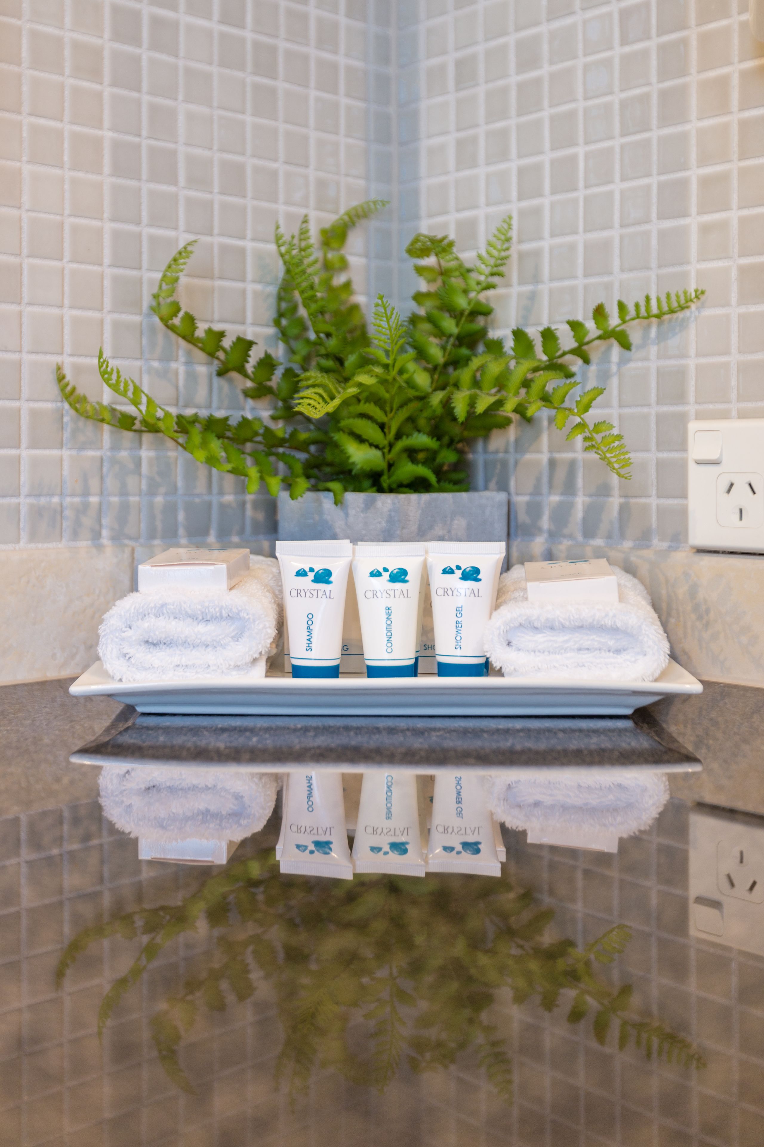 Un baño con pared de azulejos, una planta y artículos de aseo en una bandeja.