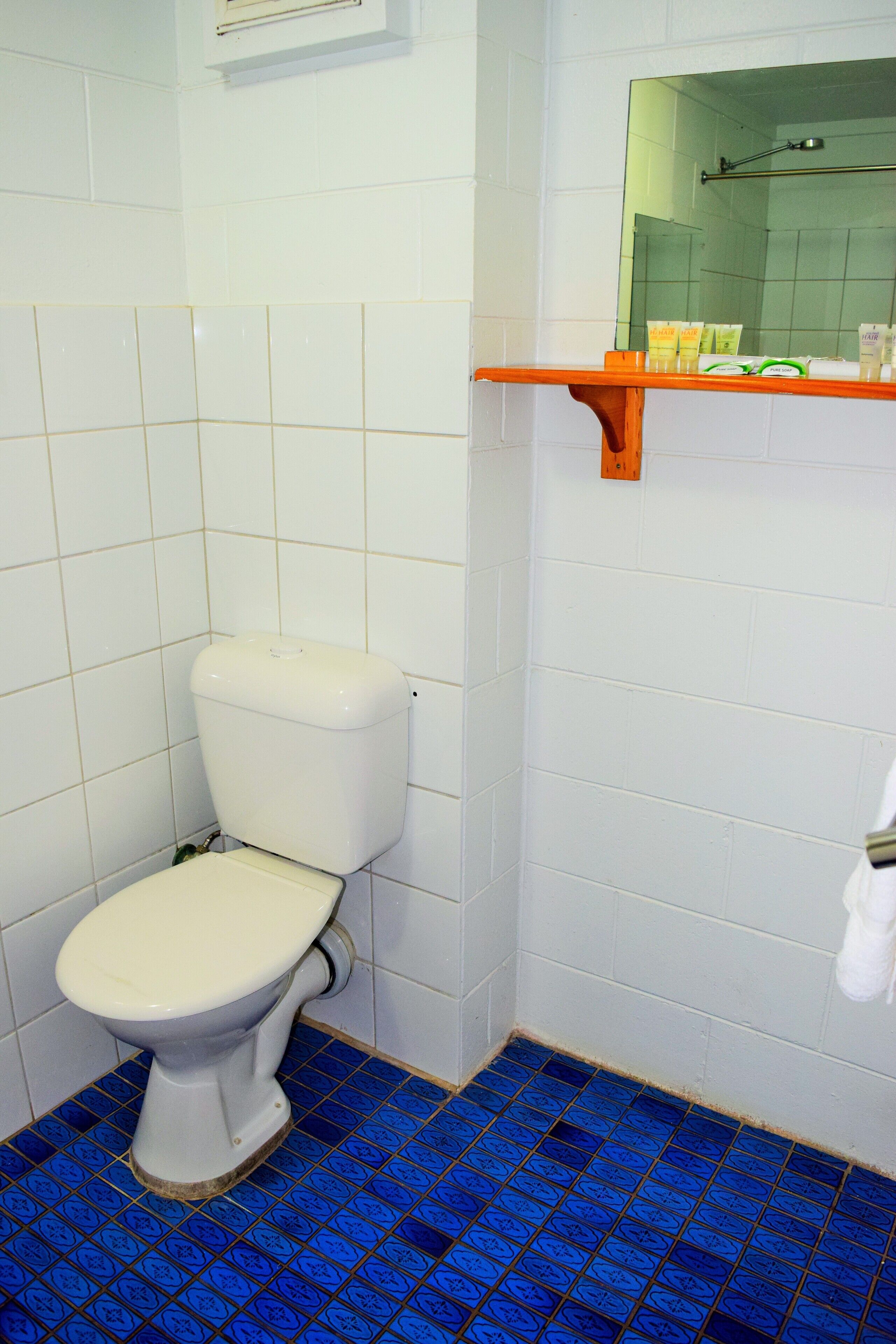 A bathroom with a toilet, blue patterned floor, white tiles, and a shelf with toiletries.