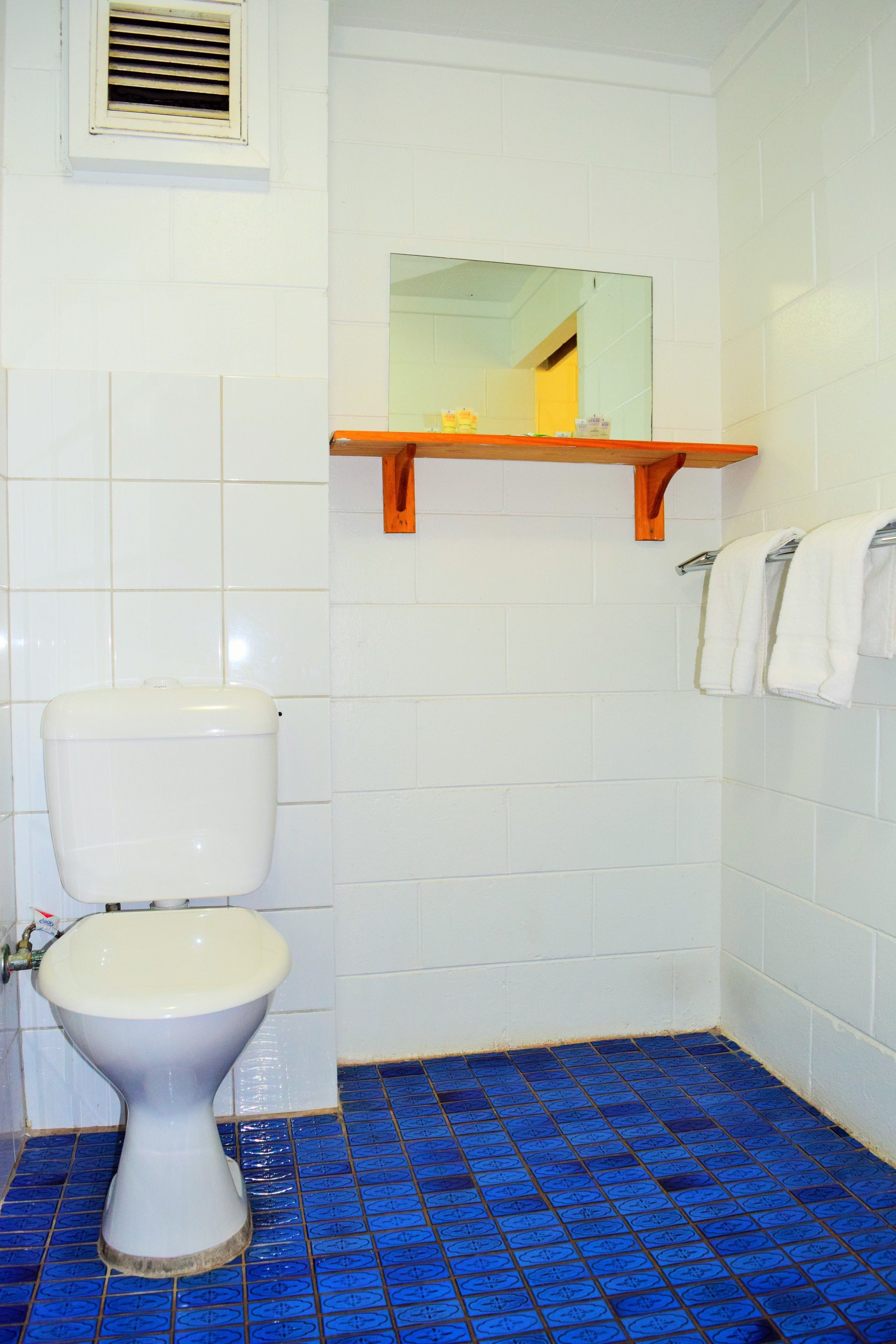 A bathroom with a white toilet, blue patterned floor tiles, a white sink, and a mirror above the sink.