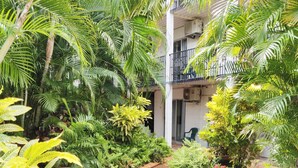 A courtyard with a brick pathway, surrounded by lush greenery and palm trees. - Coconut Grove Holiday Apartments (Coconut Grove)