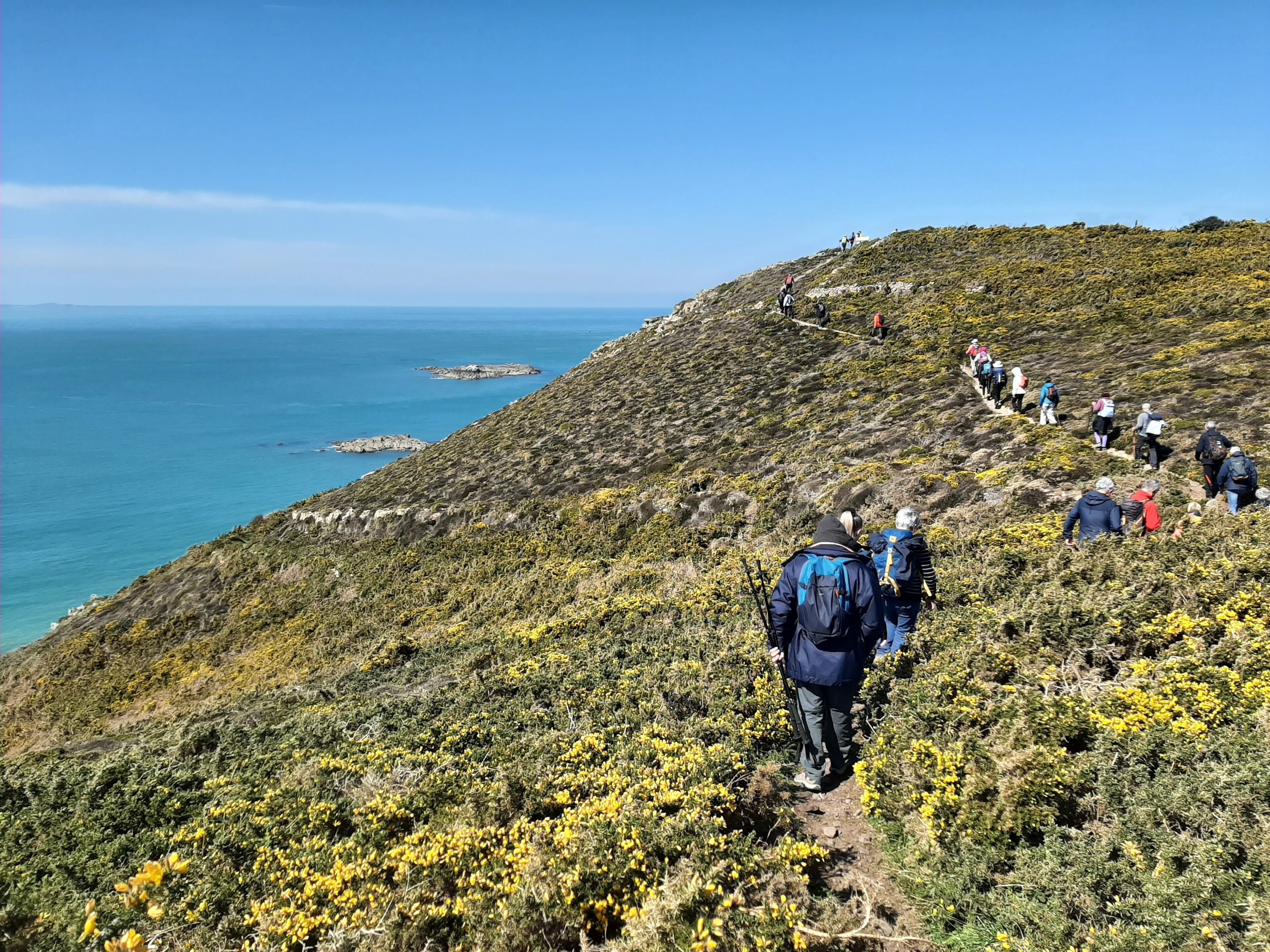 A coastal hiking trail with hikers ascending a grassy hill.