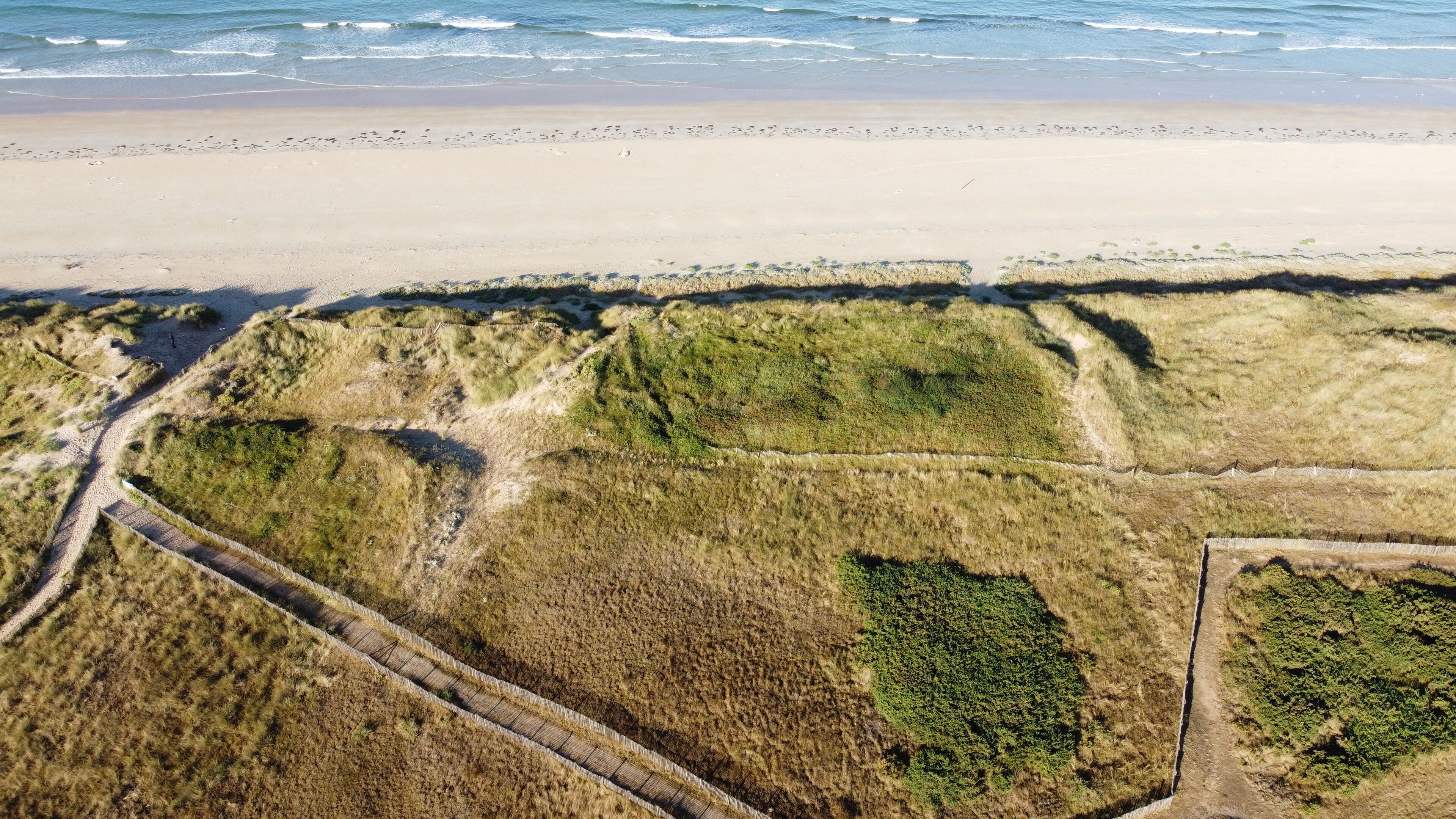 An aerial view of a beach with a sandy shore, grassy dunes, and a wooden boardwalk.