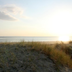On the beach