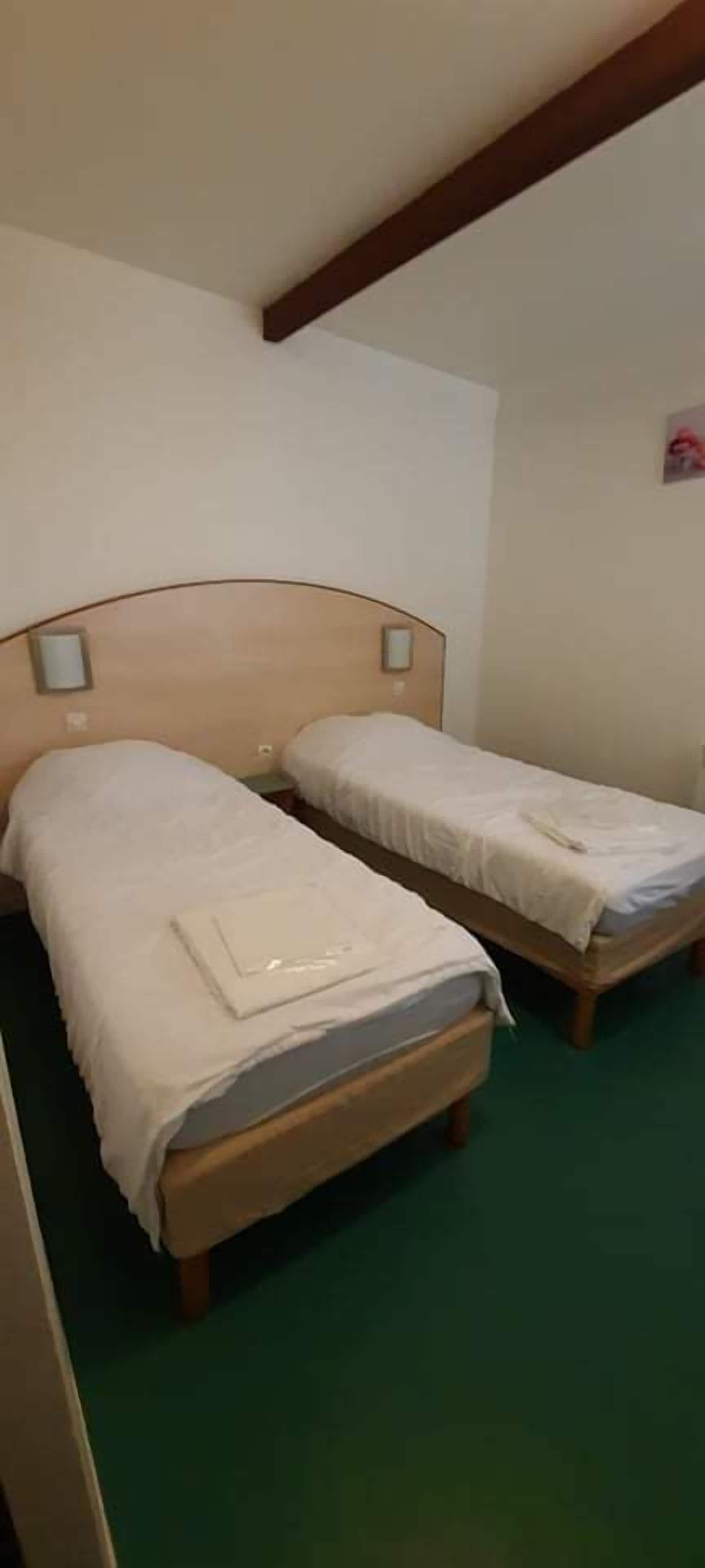 A room with two single beds, wooden headboards, and a green carpet.