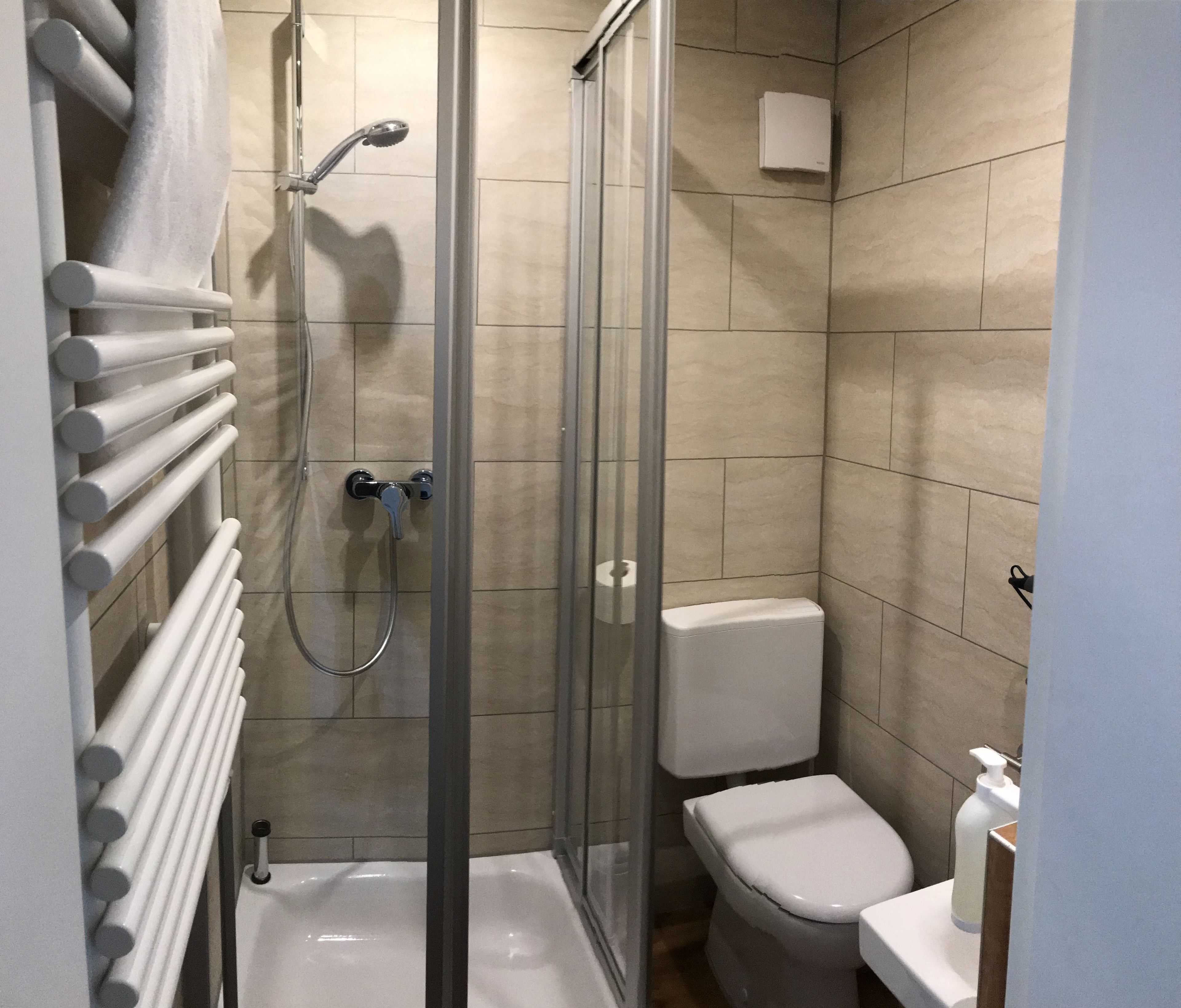 standard single room, annex building (50m) | bathroom | hair dryer, towels