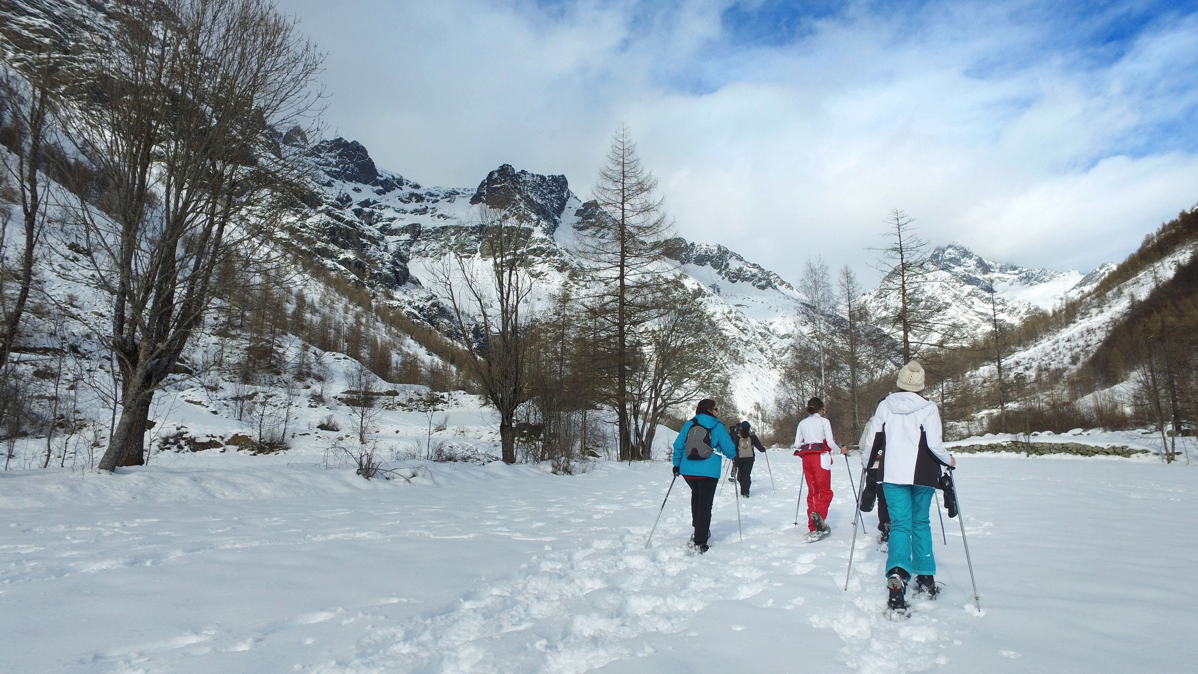 Un paysage enneigé où l’on voit un groupe de personnes pratiquant le ski de fond.