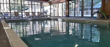 Indoor pool, sun loungers