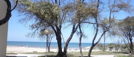 A beachside view with trees and a pathway leading to the beach.