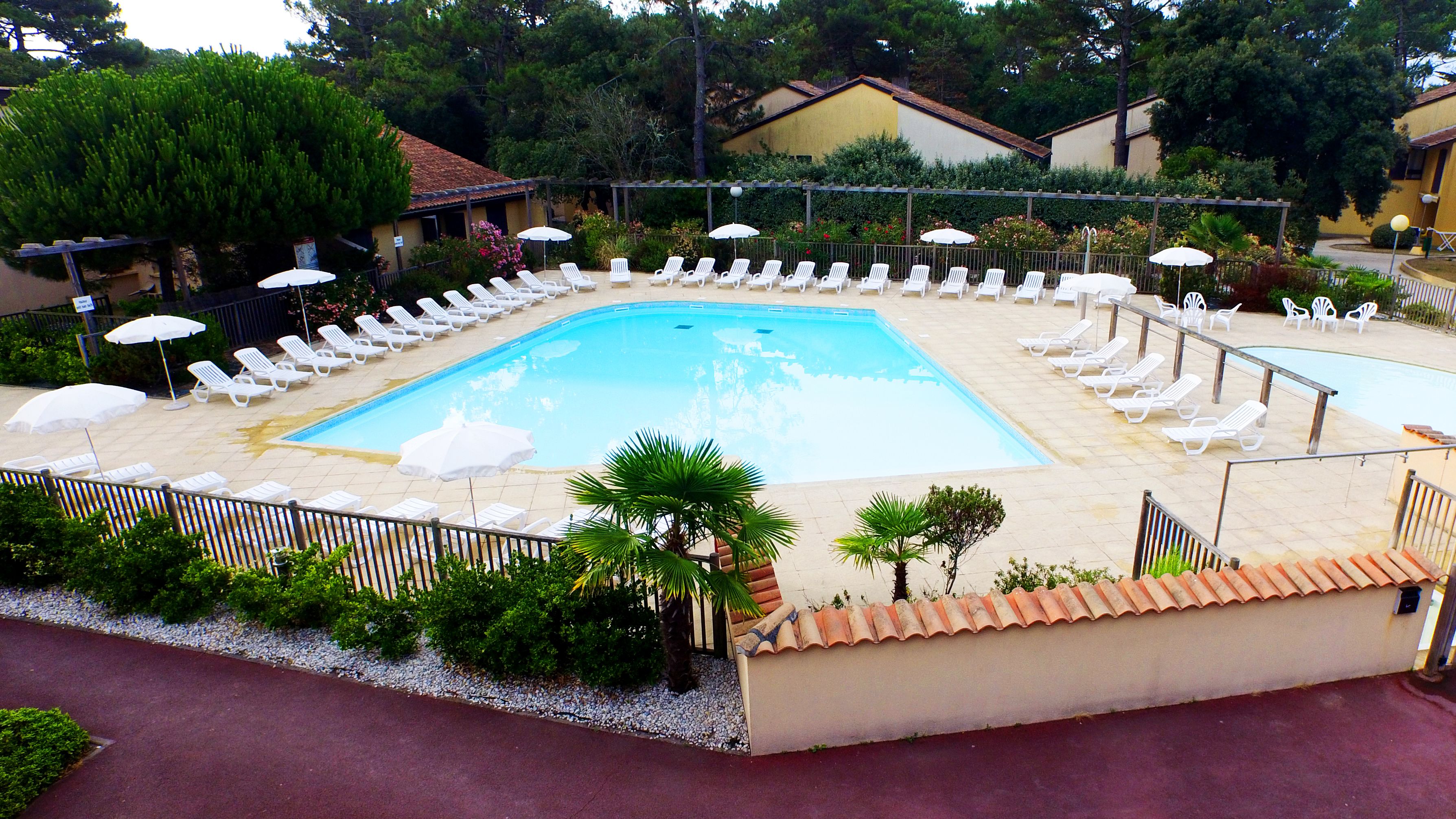 Una piscina rectangular con sillones de descanso blancos y sombrillas dispuestas alrededor.