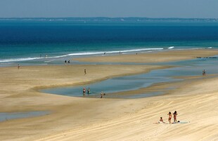 在海滩、冲浪运动/趴板冲浪