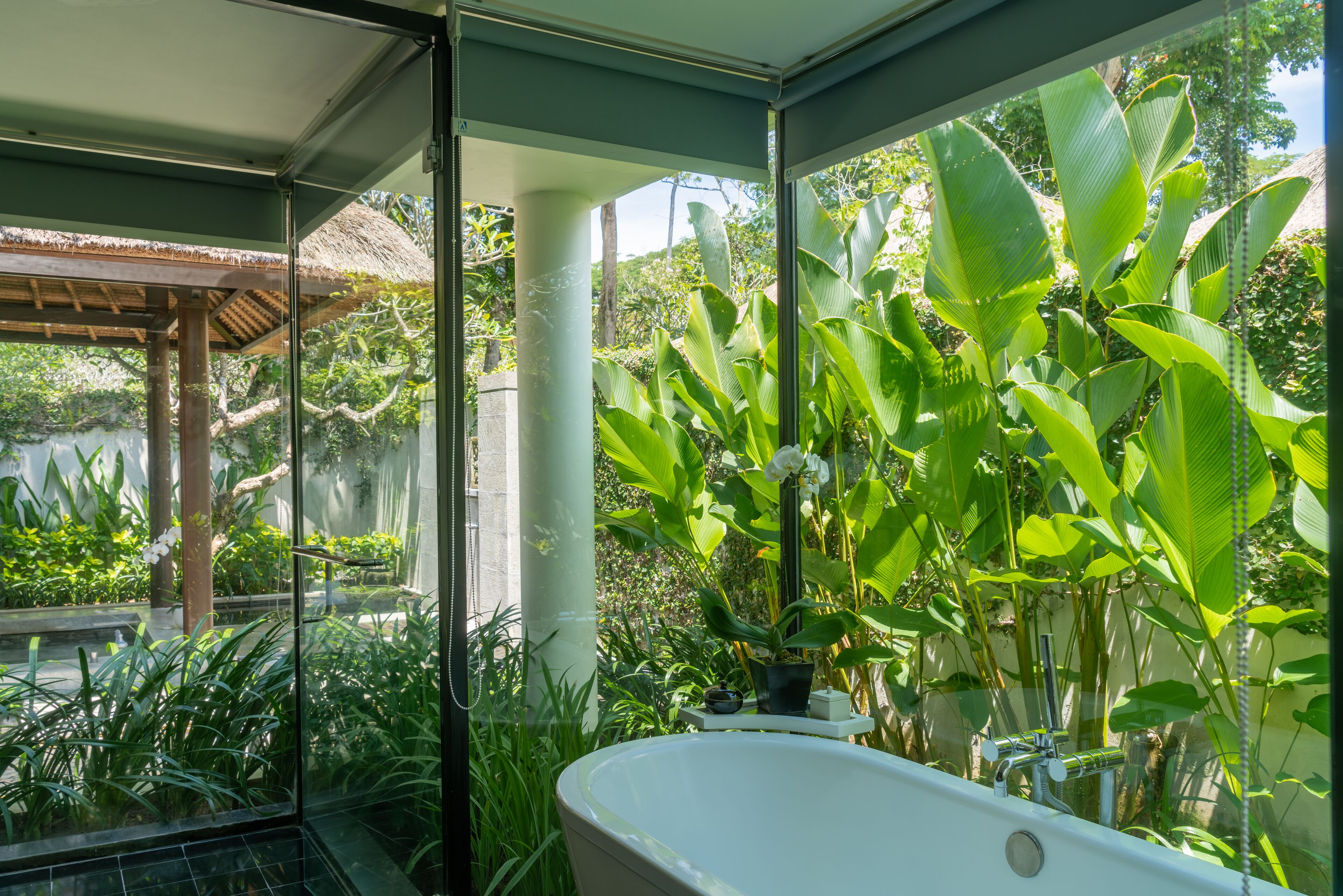 A modern bathroom with a freestanding bathtub, large windows, and lush tropical plants.