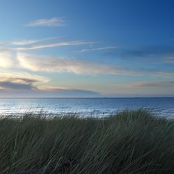 On the beach
