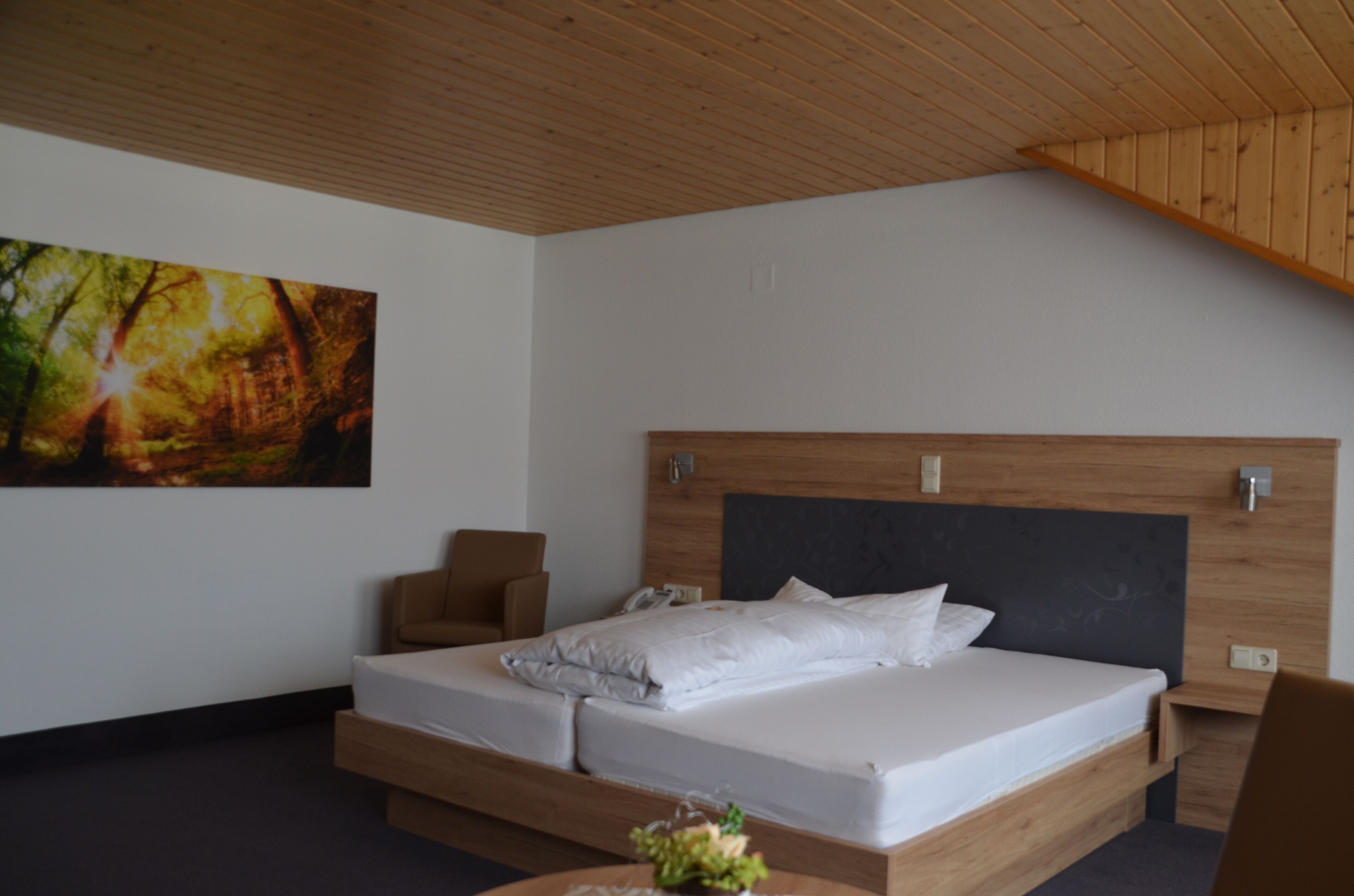 double room | premium bedding, desk, blackout curtains, iron/ironing board