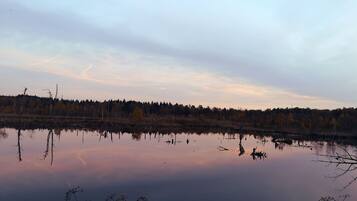 En rolig sø med spejlbilleder af træer og en klar himmel.