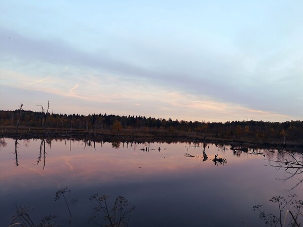 Un lago tranquilo con reflejos de árboles y un cielo despejado.