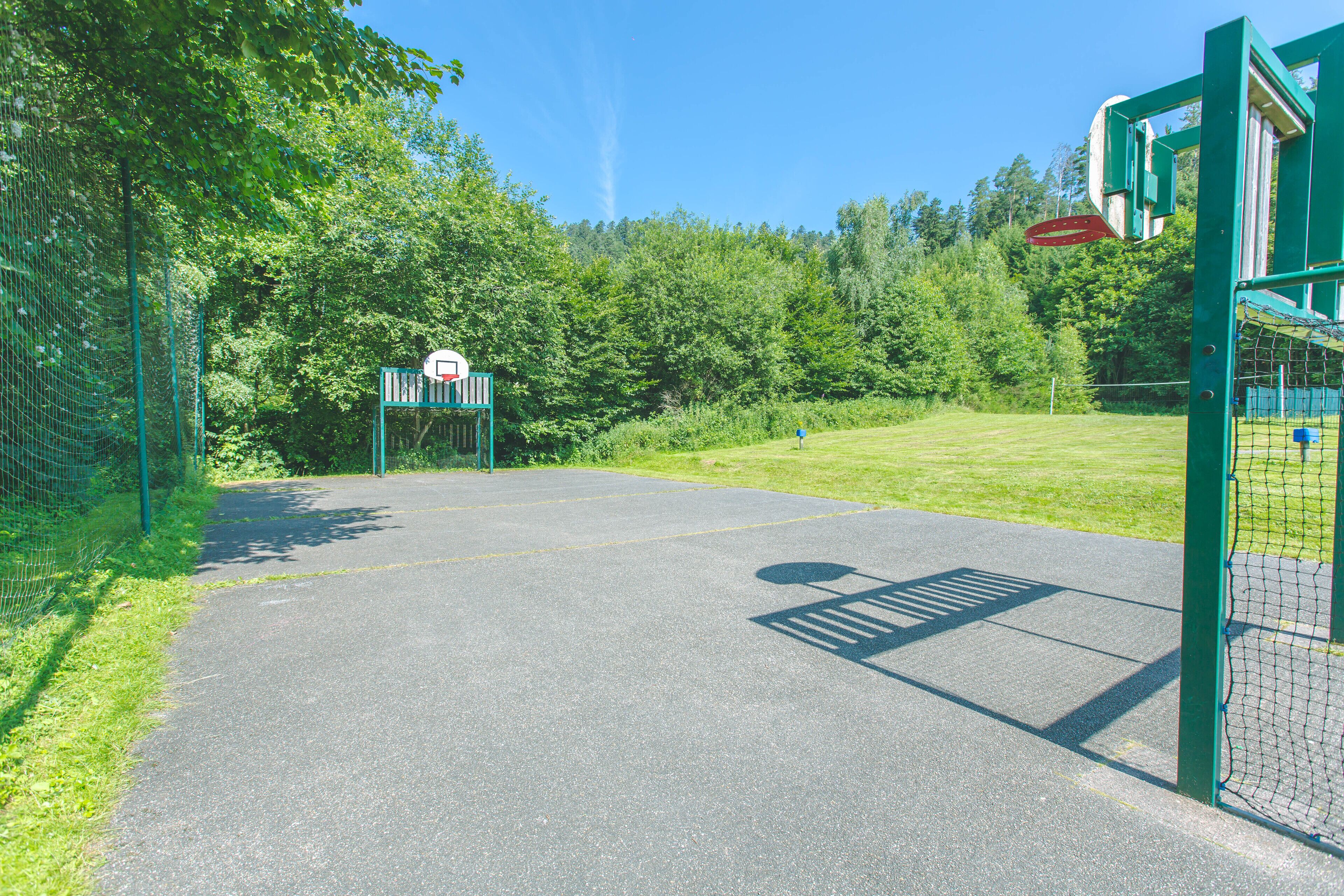 A basketball court with a hoop, surrounded by a green fence and trees.