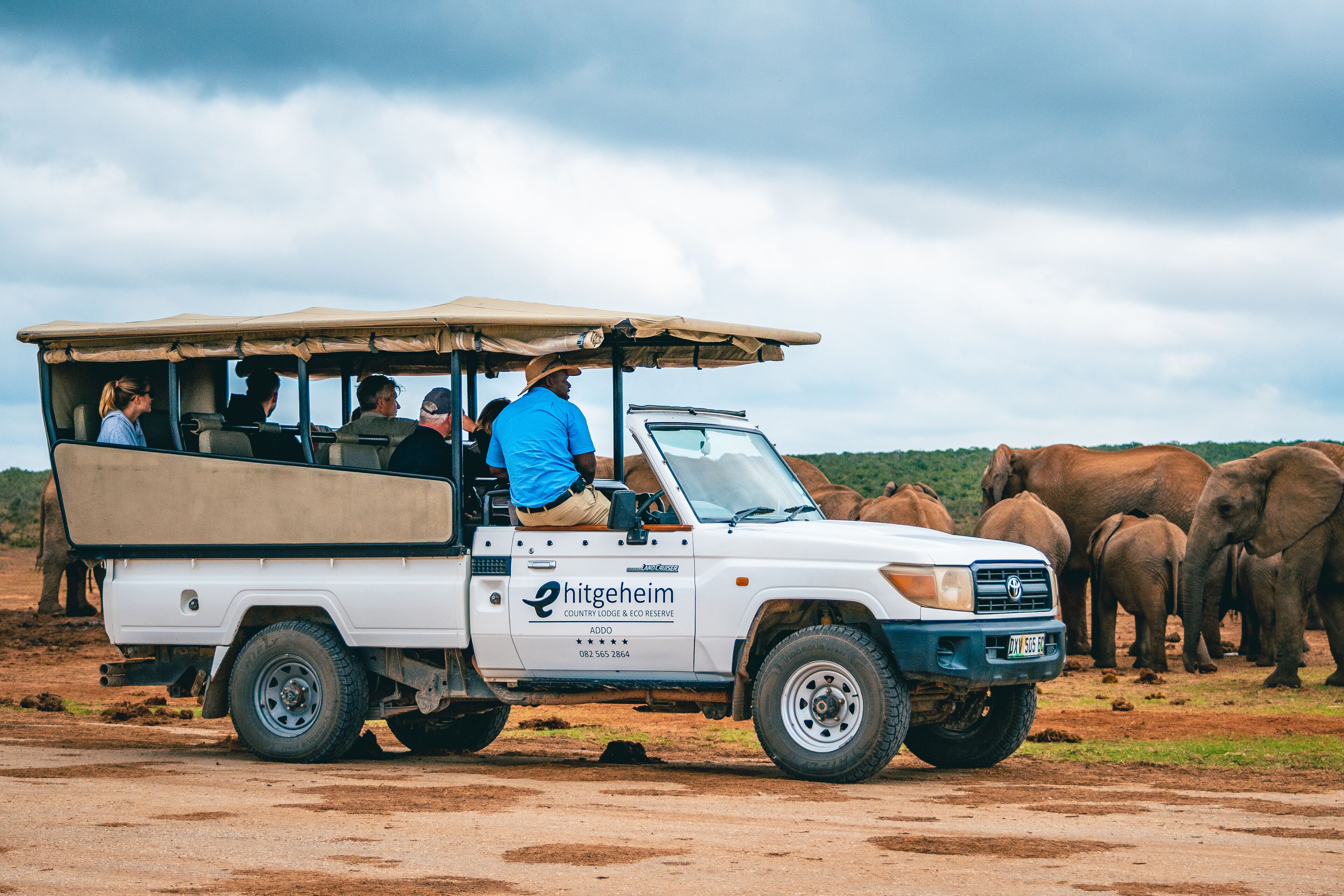 Ein Safarifahrzeug mit Fahrgästen und einer Elefantenherde im Hintergrund.