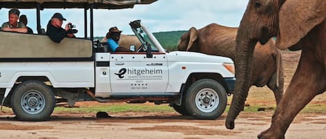 Game drive