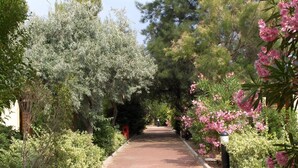 A pathway flanked by dense shrubbery and flowering plants, leading to a distant structure.