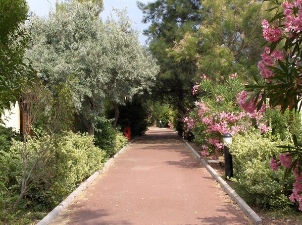Enceinte de l’hébergement