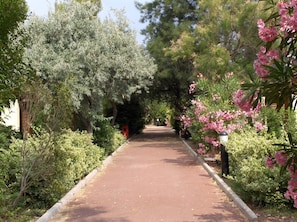 Property grounds - VVF Sigean Port-la-Nouvelle Corbières (Sigean)