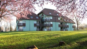 A multi-story residential building with balconies, surrounded by a grassy area and cherry blossom trees. - VVF Plaine d'Alsace Obernai Strasbourg (Obernai)