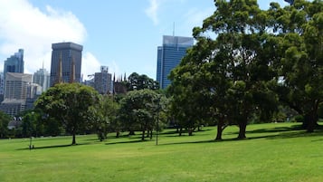 A park with green grass and trees, and a city skyline with tall buildings in the background.
