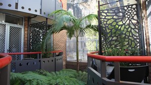 A courtyard with a palm tree, ferns, and a decorative metal fence.
