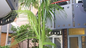 A building with a modern design, featuring a balcony with a metal railing and a potted plant.