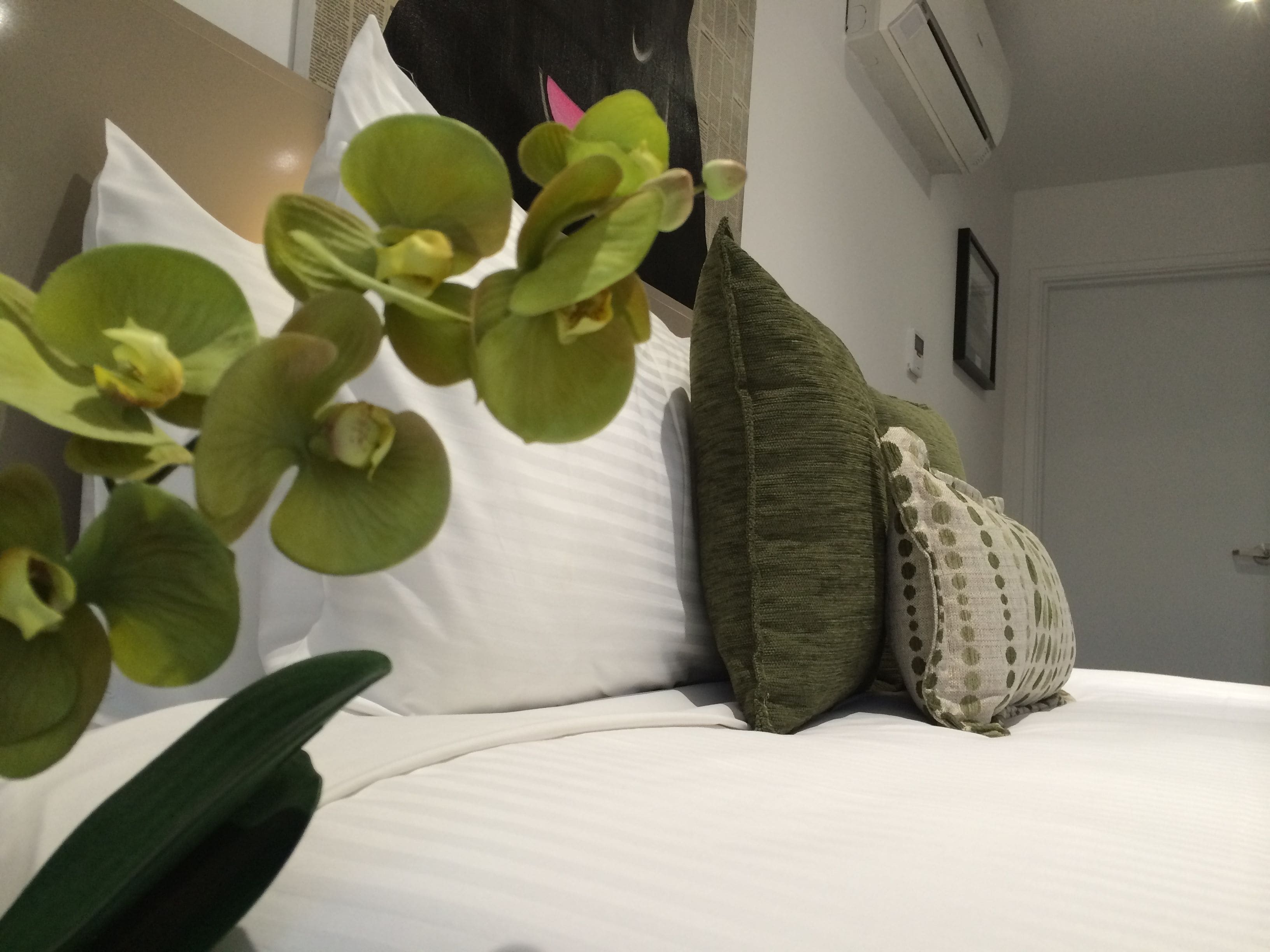 Una cama bien hecha con sábanas blancas, almohadas verdes con diseño y una planta de orquídea verde en primer plano.