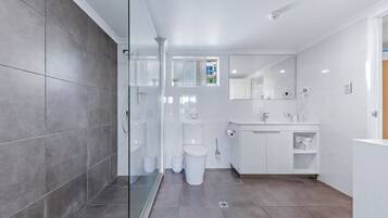 A modern bathroom with a glass shower enclosure, a toilet, and a sink with a mirror above.