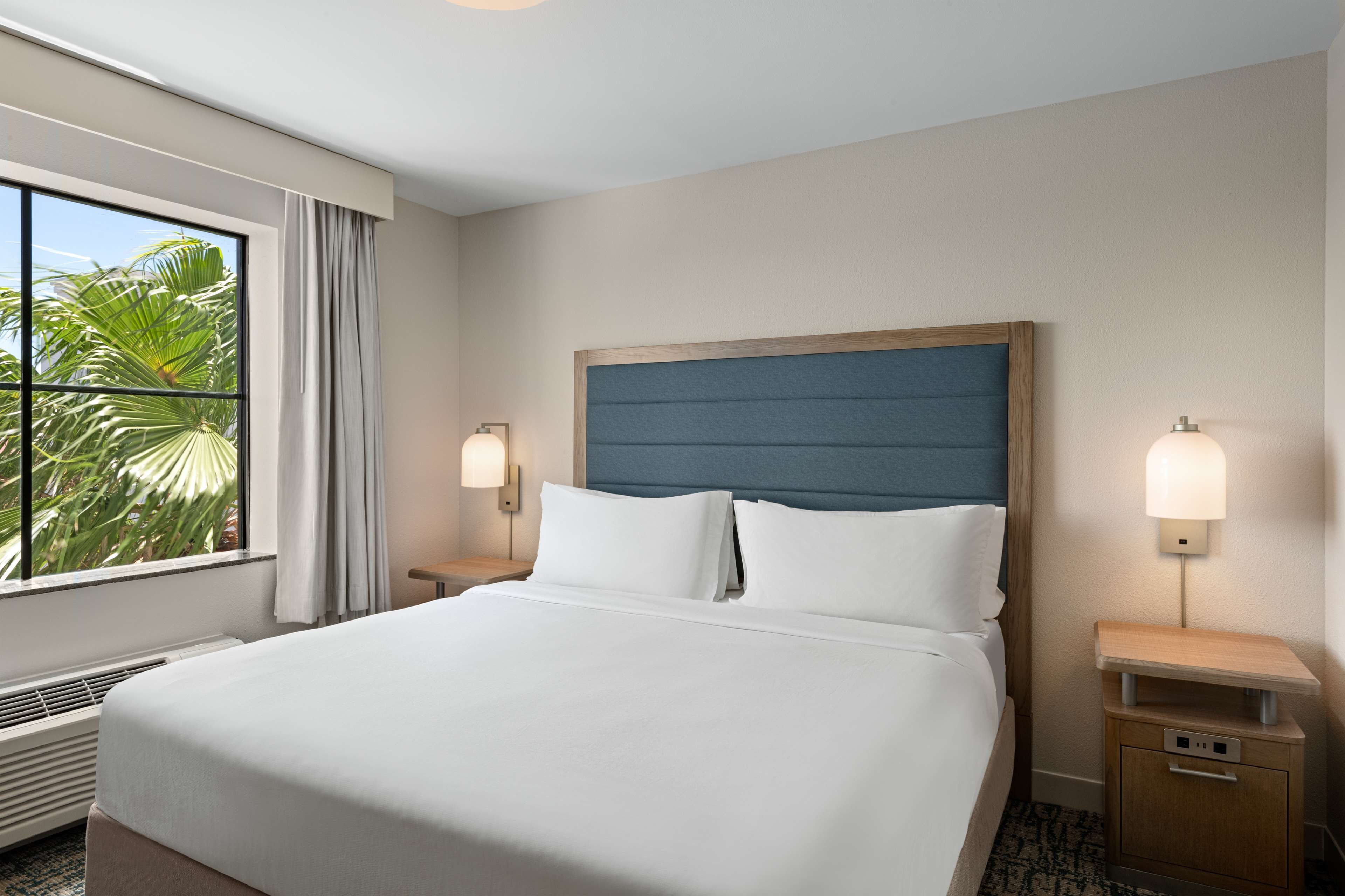 A hotel room with a large bed, two bedside lamps, a nightstand, and a view of palm trees through a window.