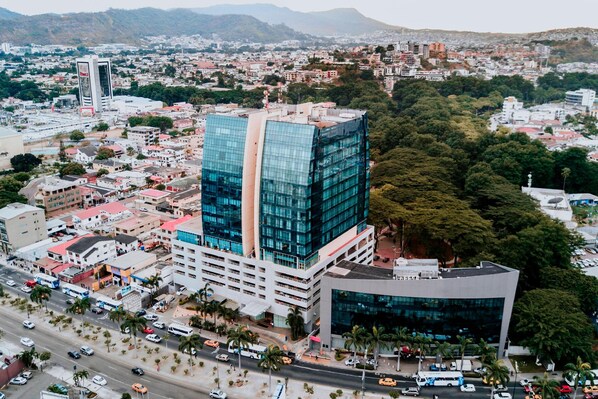 Um edifício moderno com fachada de vidro, rodeado por palmeiras e uma rua movimentada.