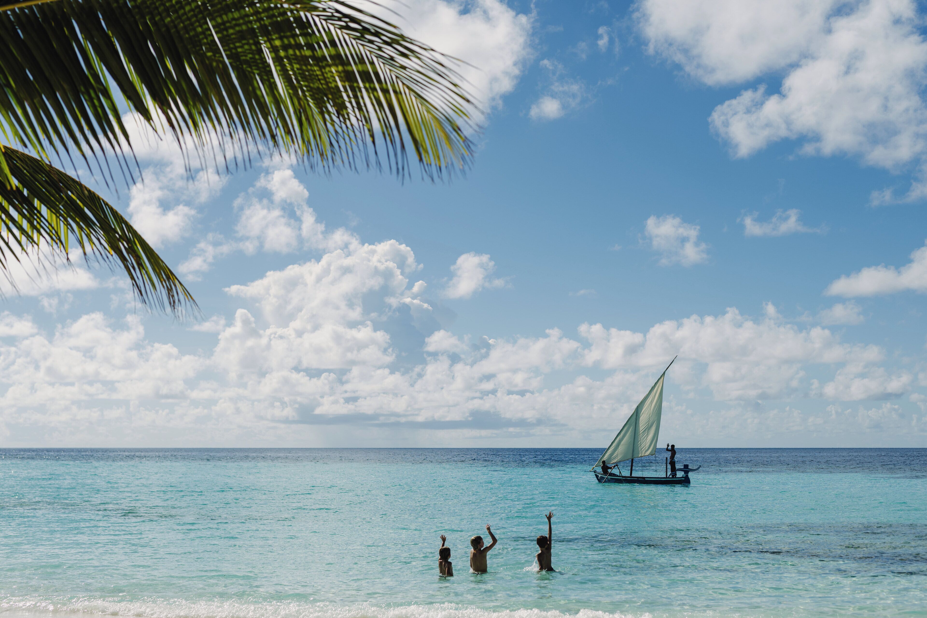 A tropical beach scene with clear turquoise water, a sailboat, and a palm tree.
