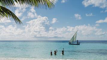 A tropical beach scene with clear turquoise water, a sailboat, and a palm tree.