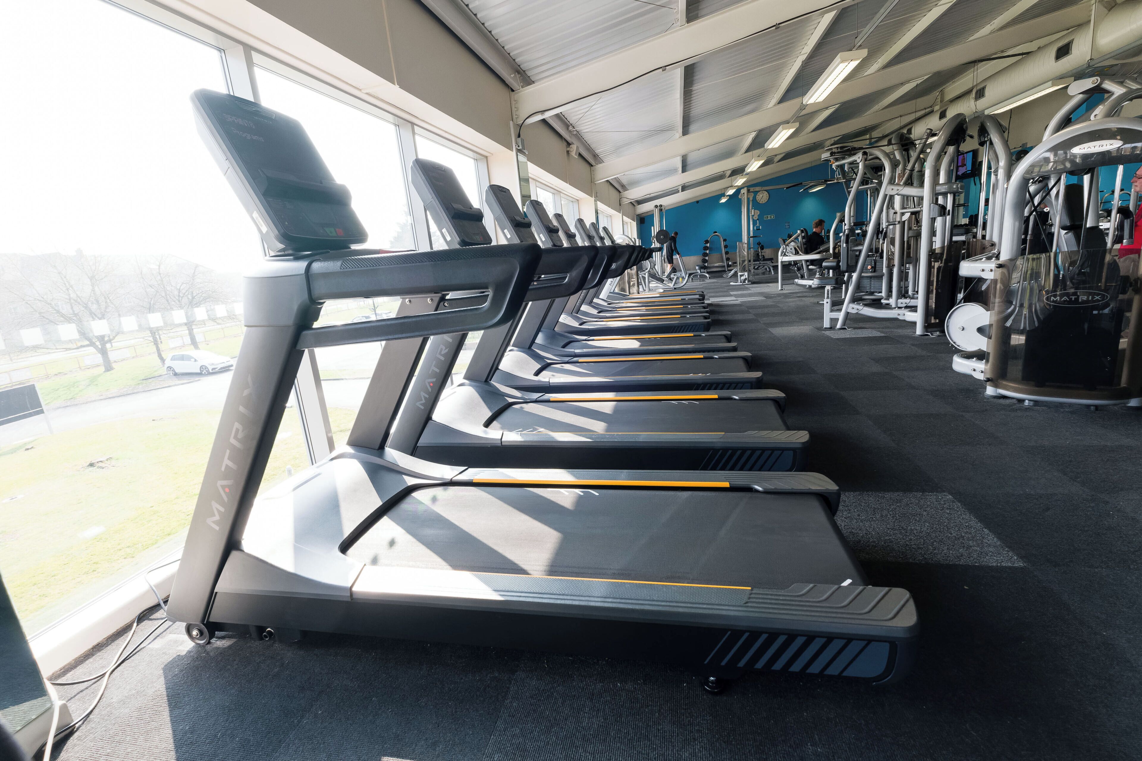 A row of treadmills with a view of the outdoors through large windows.