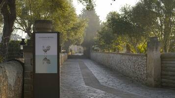 A cobblestone pathway flanked by stone walls and trees, leading to a distant structure. A signboard with text and illustrations is visible on the left.