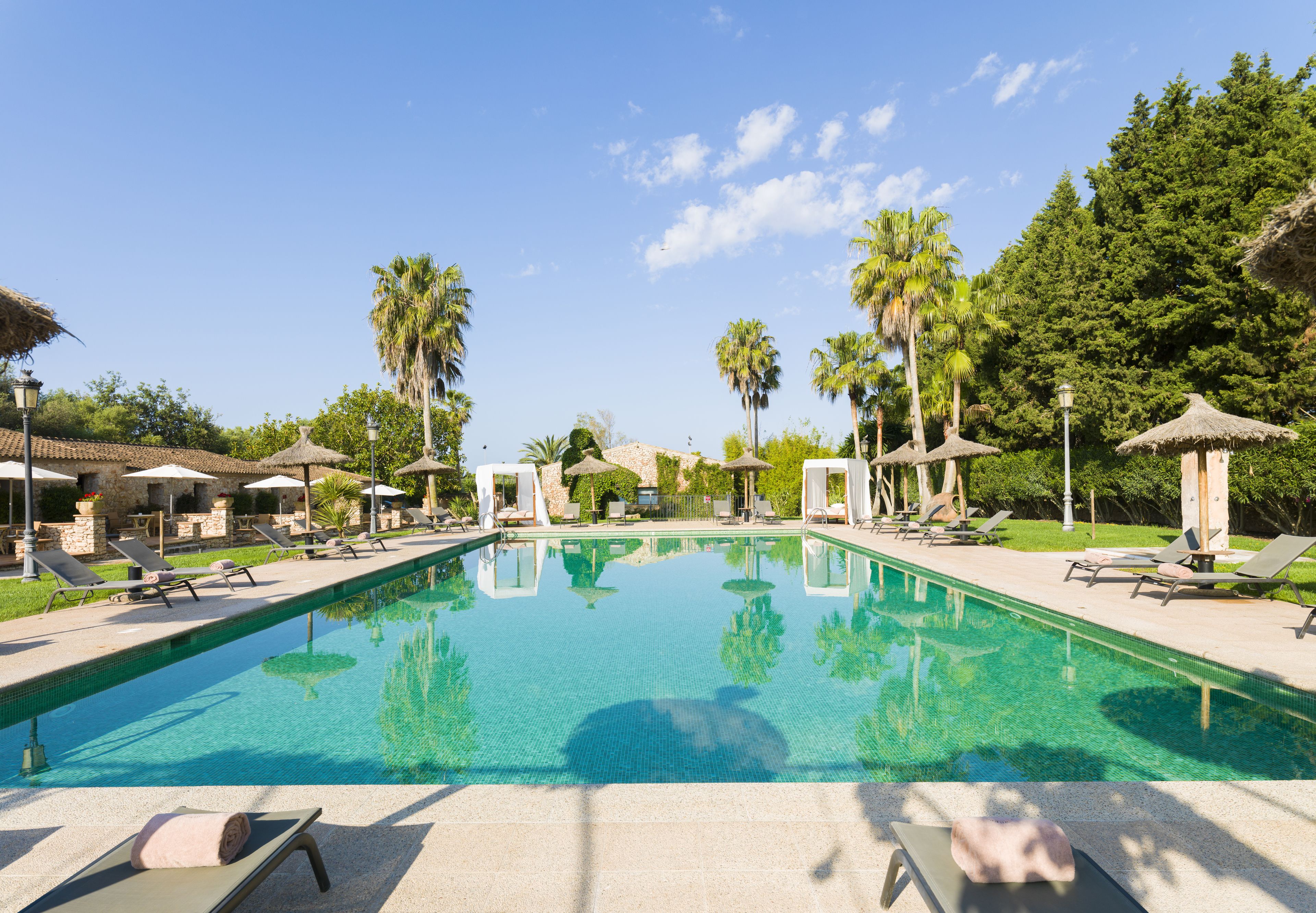 Una piscina con sillas de descanso y sombrillas, rodeada de palmeras y vegetación.