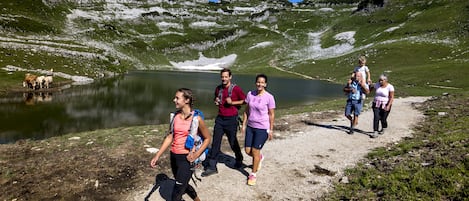 A group of people walking along a path beside a lake with mountains in the background.