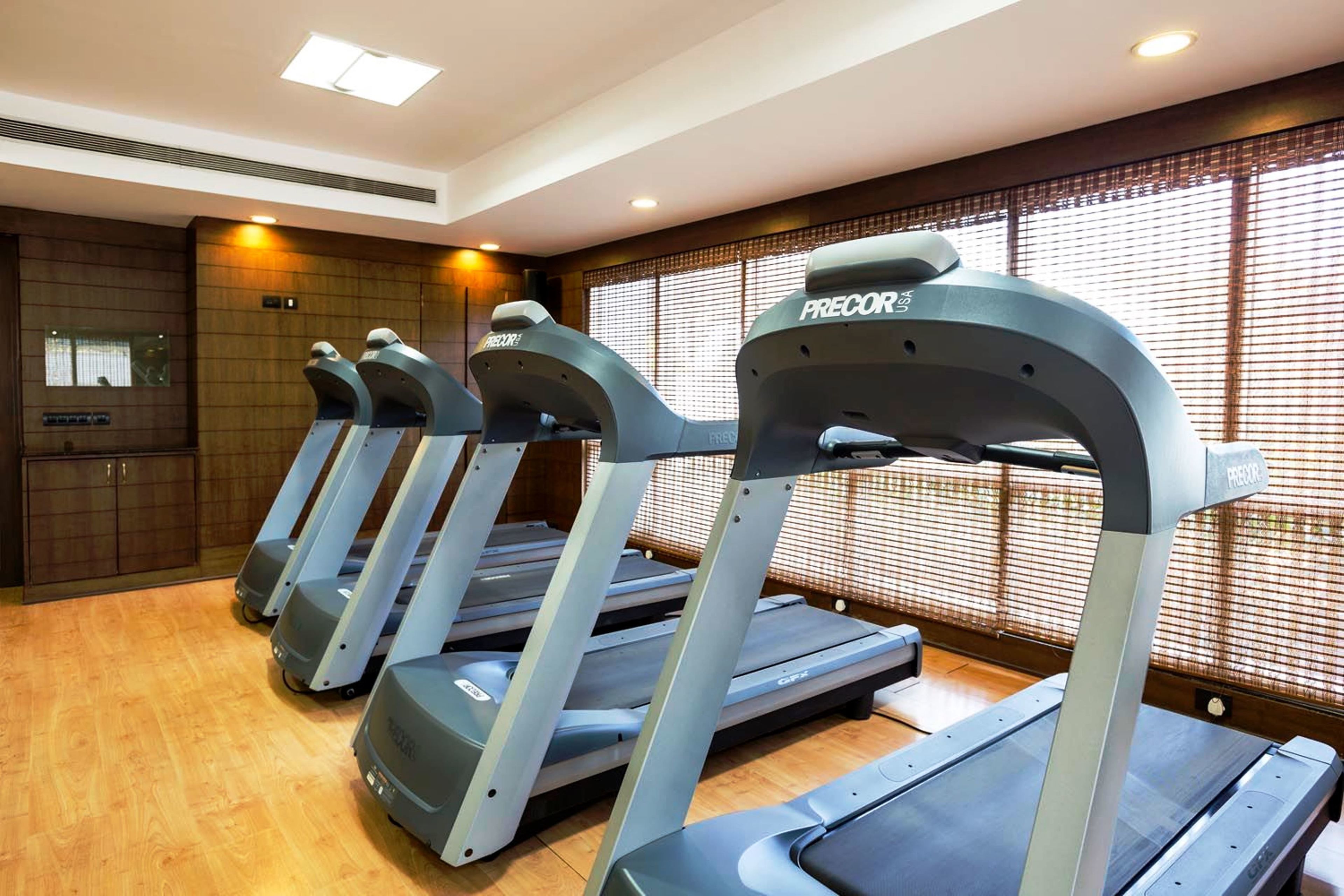 File di tapis roulant in palestra, con pavimento in legno e ampie finestre.