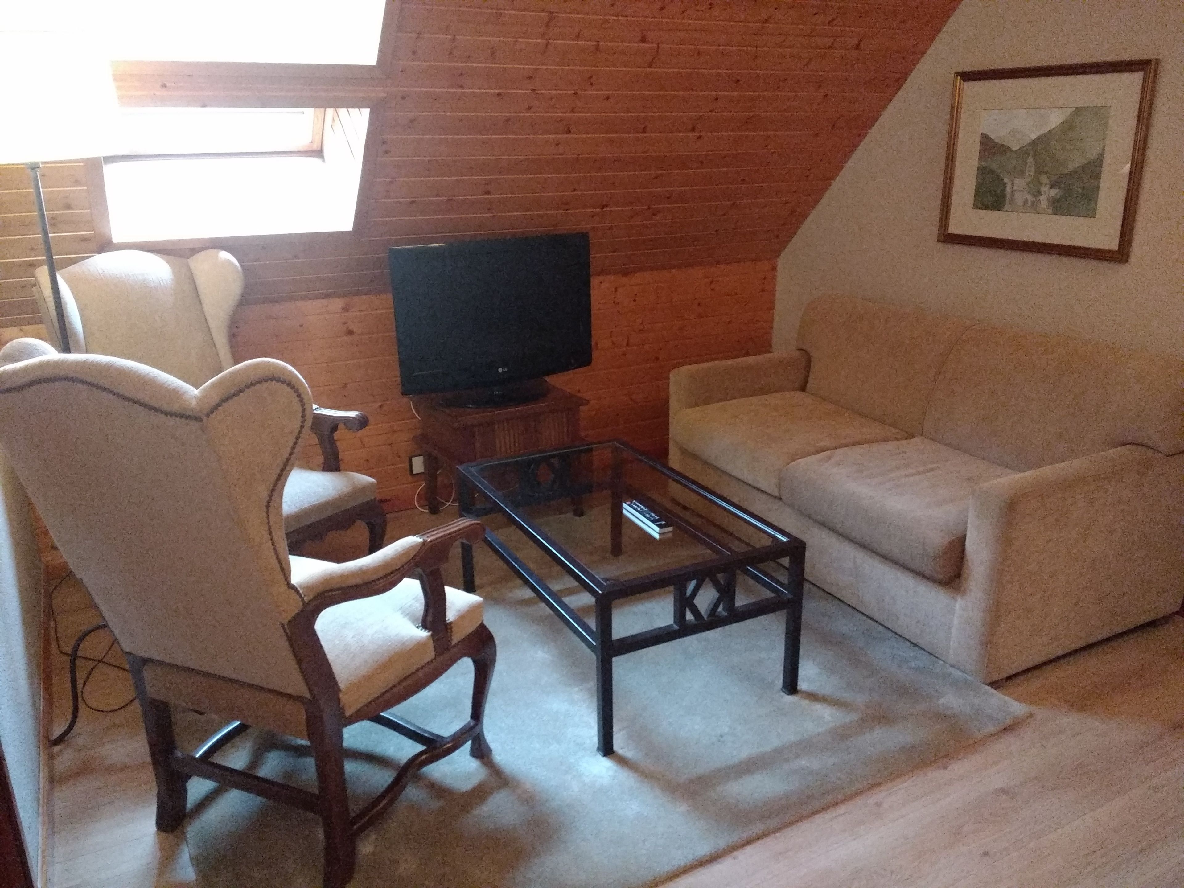 suite | living area | flat-screen tv, pay films