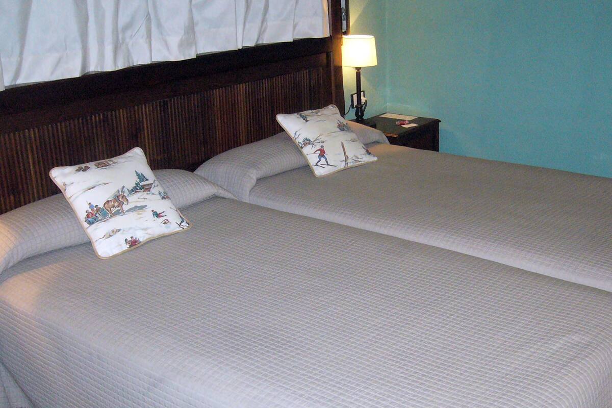 A double bed with two pillows, a bedside table with a lamp, and a wooden headboard.