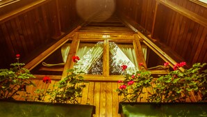 A wooden attic room with a sloped ceiling, large windows, and potted plants.