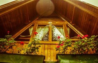 Family Cabin