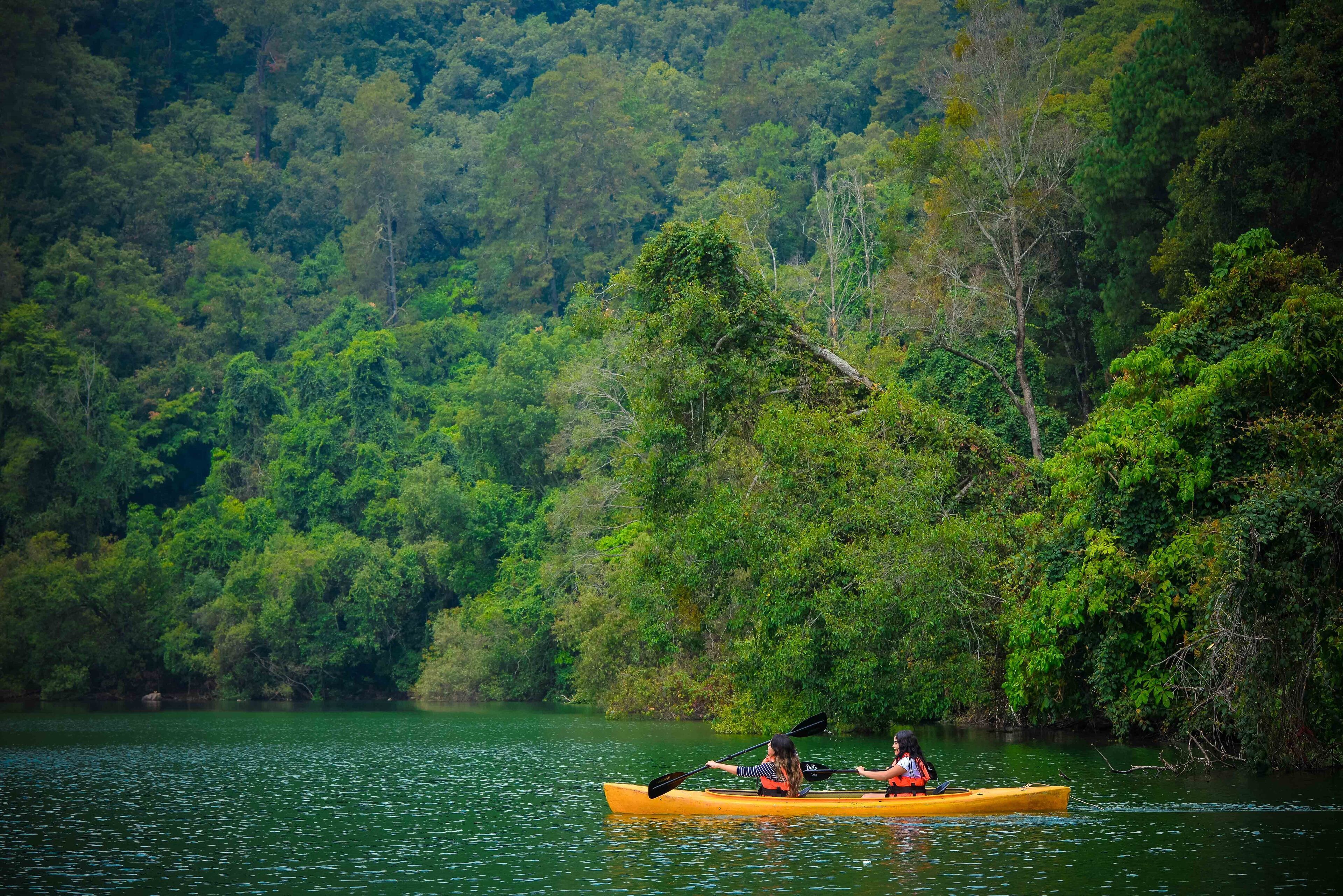 Una canoa en un río tranquilo bordeado por un denso bosque verde.