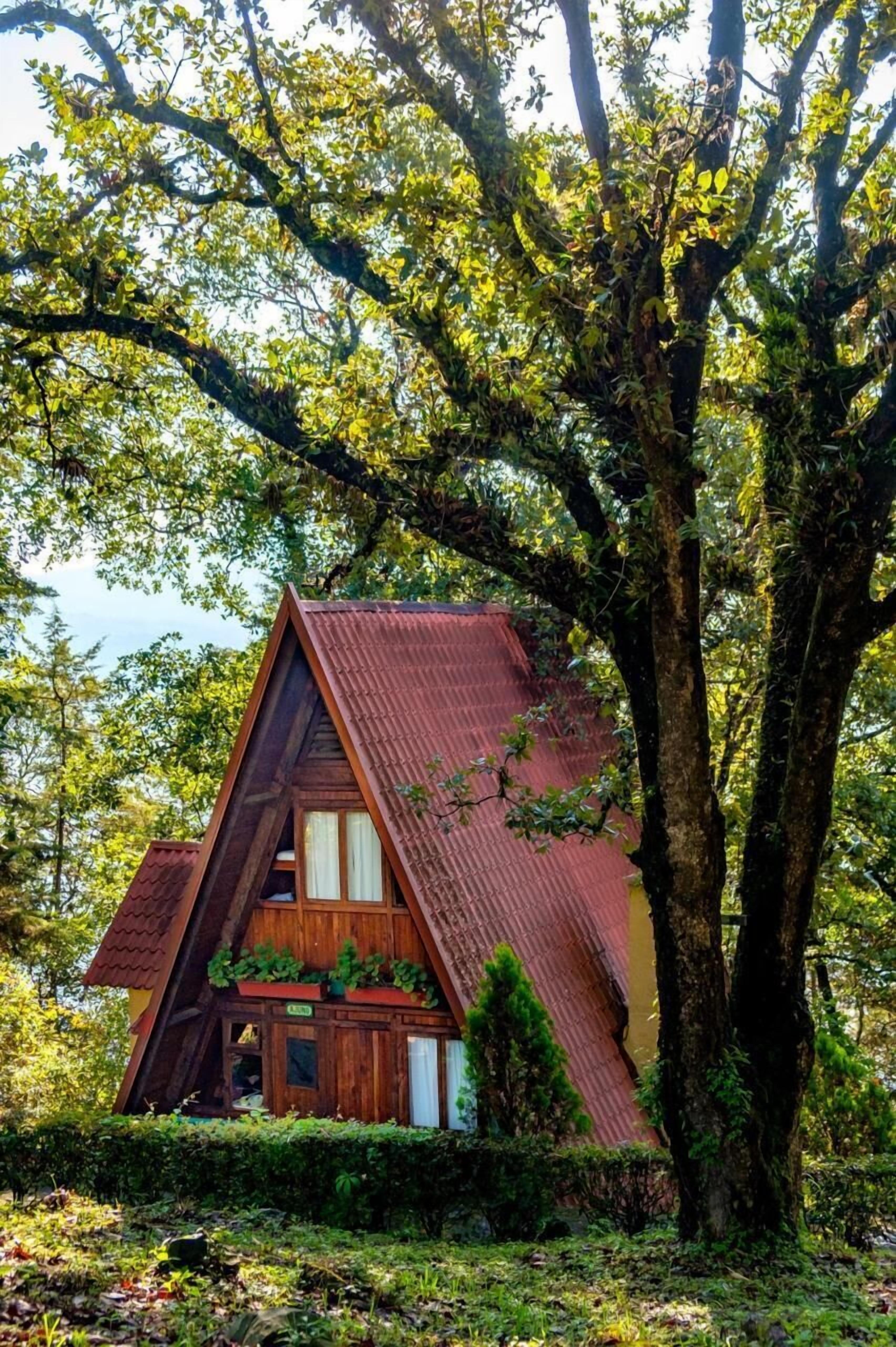 家庭小屋 | 1 間臥室、高級寢具、羽絨被、獨特裝潢