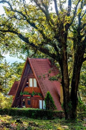 1 habitación, ropa de cama de alta calidad y cubrecamas 